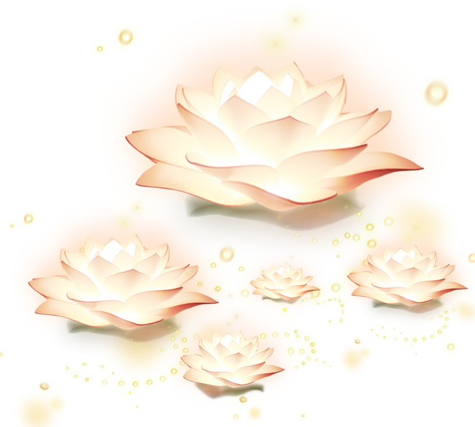 Shining Lotus Flowers